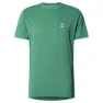 Dk jelly green