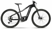 HAIBIKE HardNine 10 titan/black matte 29" 625 Wh Diamant HAIBIKE HardNine 10 titan/black matte 29" 625 Wh Diamant