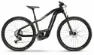 HAIBIKE HardNine 10 titan/black matte 29" 625 Wh Diamant, Hersteller-titan/black matte, 52cm