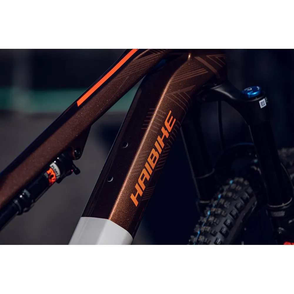 HAIBIKE Lyke Cf 10 29´´ Nx Eagle 2023 Elektrische Mountainbike HAIBIKE Lyke Cf 10 29´´ Nx Eagle 2023 Elektrische Mountainbike