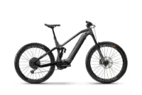 HAIBIKE NDURO 8 Freeride titan/black/chrome matt 29"/27,5" 720 Wh Diamant