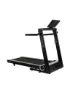 Hammer Laufband Q. Vadis 10.0, Keine farbe, EG