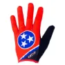 Tennessee flag