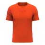 Spicy orange