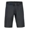 Anthracite ii