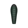 Scarab