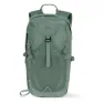 Duck green