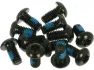 Hayes Torxschrauben, Schwarz, T25