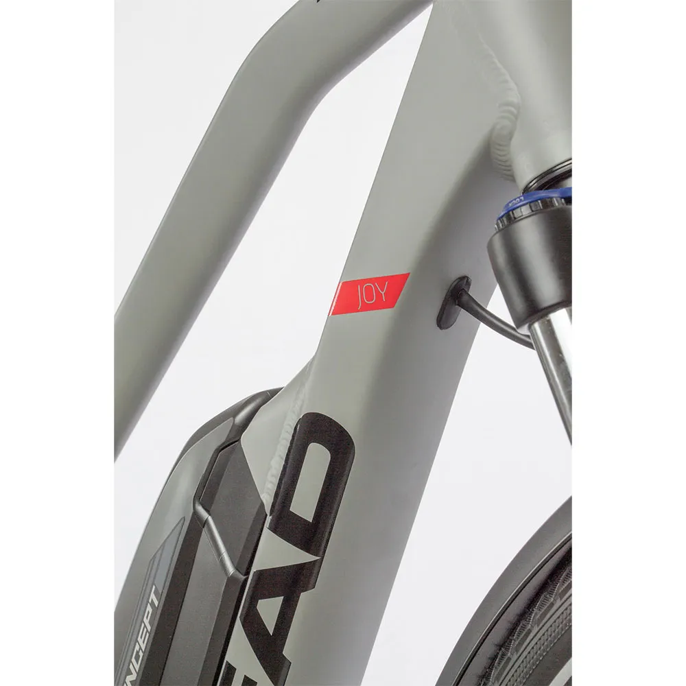 Head Bike E Revelo 1.0 Joy Elektrofahrrad