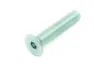 Hebie Befestigungsschraube M10 für 605 REX / 690 lite REX, Silber, 65mm