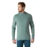 Helly Hansen Lifa Merino Midweight Langarm-t-shirt male, Cactus