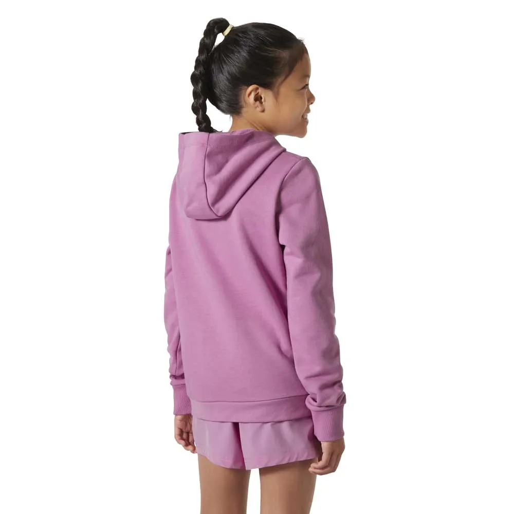 Helly Hansen Logo 2.0 Jr Kapuzenpullover Helly Hansen Logo 2.0 Jr Kapuzenpullover