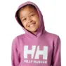 Helly Hansen Logo 2.0 Jr Kapuzenpullover