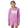 Helly Hansen Logo 2.0 Jr Kapuzenpullover
