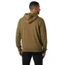 Helly Hansen Massif Graphic Kapuzenpullover