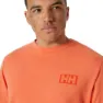 Helly Hansen Skog Graphic Tee Langarm-t-shirt
