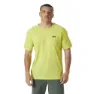 Cyber lime