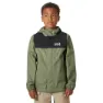 Lav green 1