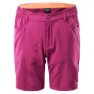 Boysenberry / fresh salmon