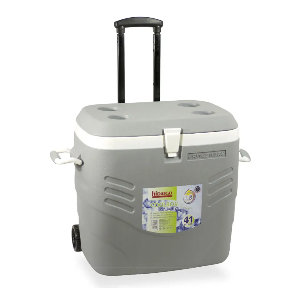 Hidalgo Productos Premium-hartkühlschrank 41l, Grey, One Size Hidalgo Productos Premium-hartkühlschrank 41l, Grey, One Size