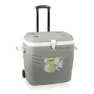Hidalgo Productos Premium-hartkühlschrank 41l, Grey, One Size