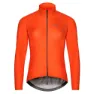 Orange 2