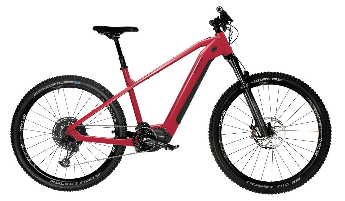 HoheAcht Sento Monto Morgenstunde 29"/27,5" 630 Wh Diamant HoheAcht Sento Monto Morgenstunde 29"/27,5" 630 Wh Diamant