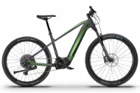 HoheAcht Sento Monto Rosenkäfer 29"/27,5" 630 Wh Diamant