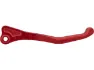 Rot