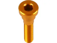 Hope Schraube für Top Cap / Grip Doctor