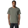 Sage green 2