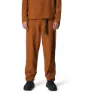 Cinnamon brown 1