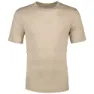 Sandstorm 1
