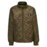 Dark olive