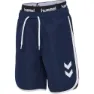 Hummel Swell Badeshorts male