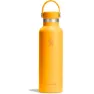 Hydro Flask Standard Flex 700ml Thermosflasche