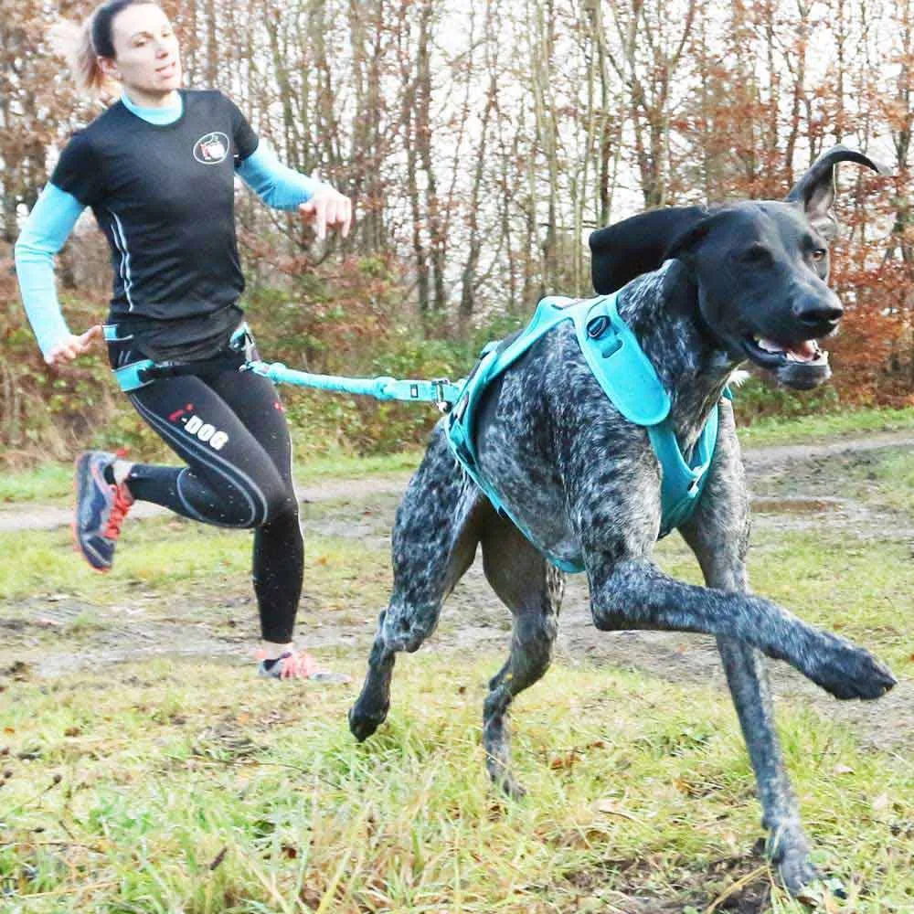 I-dog Canicross Canyon Alm Hundegeschirr, Blue, One Size I-dog Canicross Canyon Alm Hundegeschirr, Blue, One Size