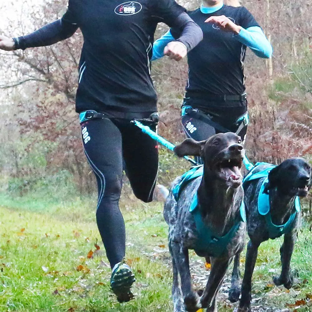 I-dog Canicross Canyon Alm Hundegeschirr, Blue, One Size I-dog Canicross Canyon Alm Hundegeschirr, Blue, One Size