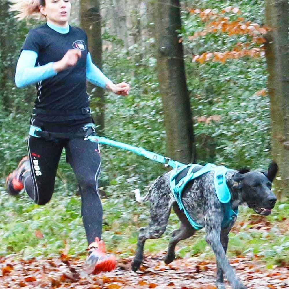 I-dog Canicross Canyon Alm Hundegeschirr, Blue, One Size I-dog Canicross Canyon Alm Hundegeschirr, Blue, One Size