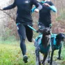 I-dog Canicross Canyon Alm Hundegeschirr, Blue, One Size