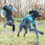 I-dog Canicross Canyon Alm Hundegeschirr, Blue, One Size
