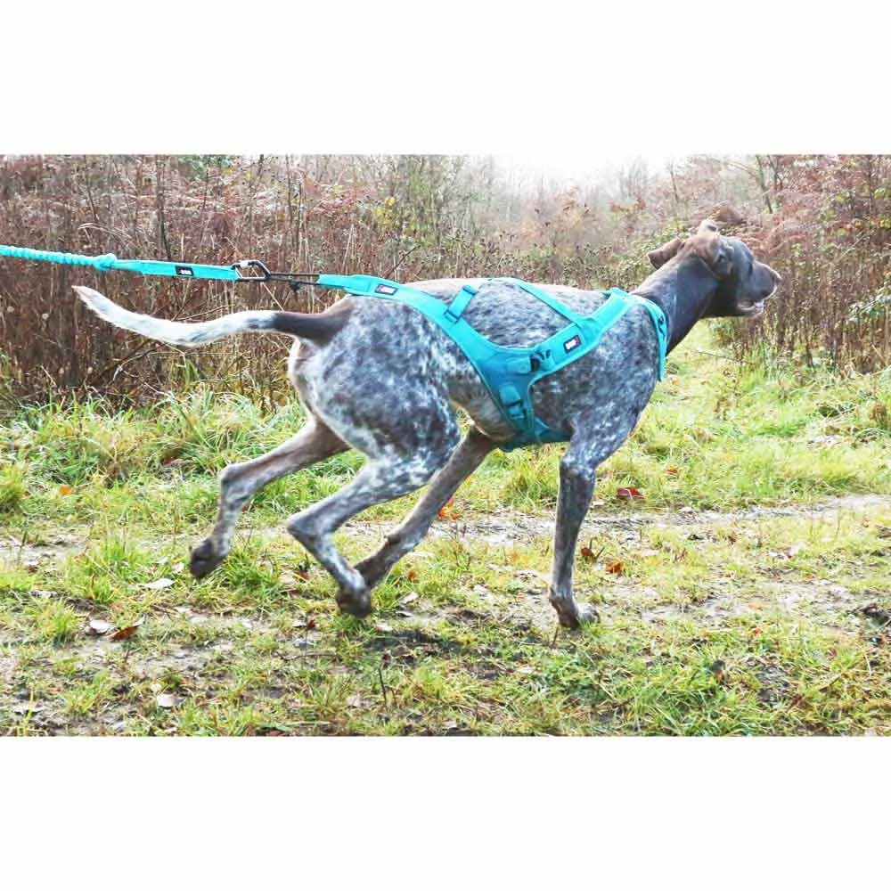 I-dog Canicross Opale Small Dog Führleine, Blue, 190cm I-dog Canicross Opale Small Dog Führleine, Blue, 190cm