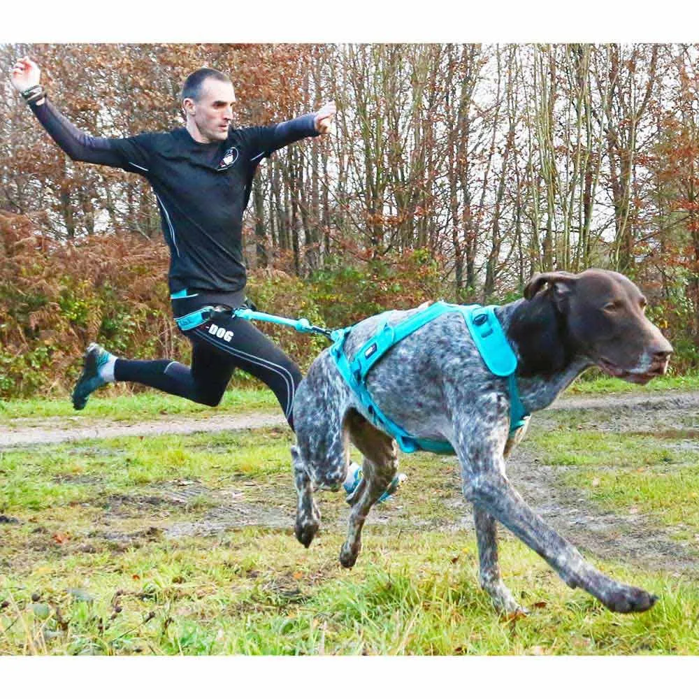 I-dog Canicross Opale Small Dog Führleine, Blue, 190cm I-dog Canicross Opale Small Dog Führleine, Blue, 190cm