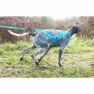 I-dog Canicross Opale Small Dog Führleine, Blue, 190cm