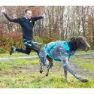 I-dog Canicross Opale Small Dog Führleine, Blue, 190cm