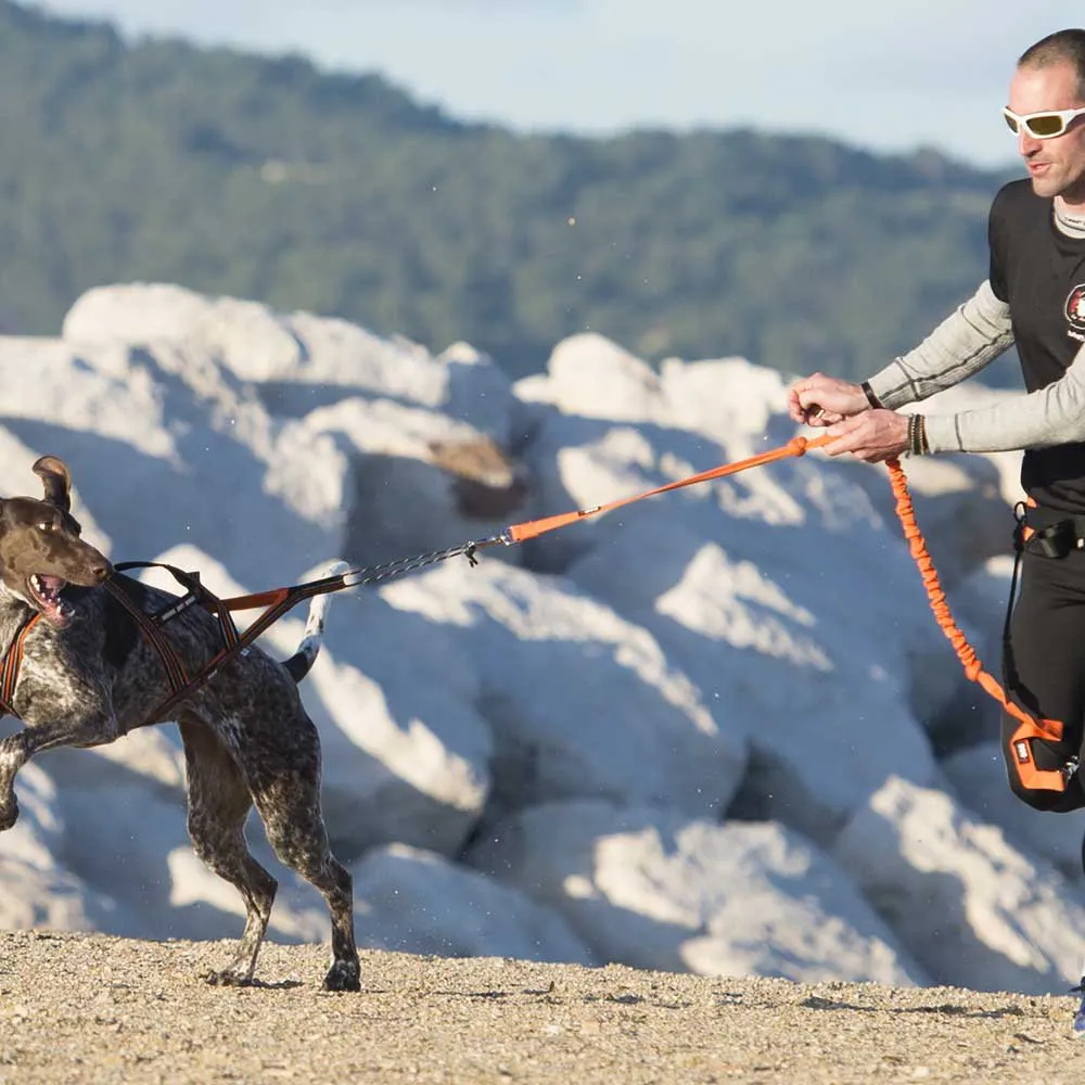 I-dog Canicross X-back Hundegeschirr