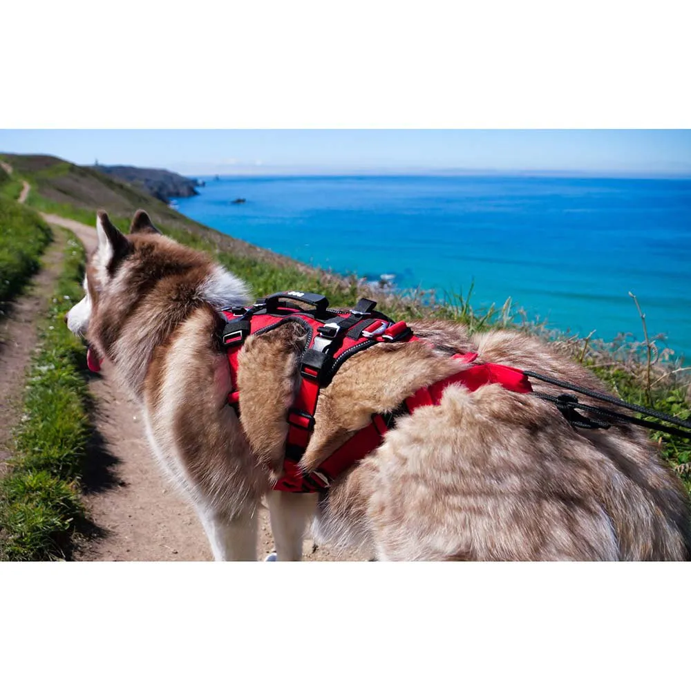 I-dog Confort Trek Hundegeschirr I-dog Confort Trek Hundegeschirr