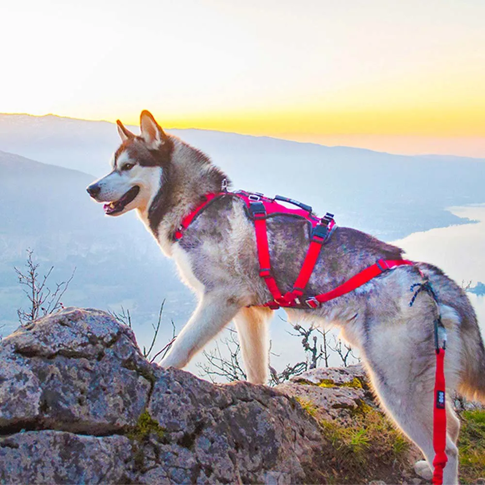I-dog Confort Trek Hundegeschirr I-dog Confort Trek Hundegeschirr
