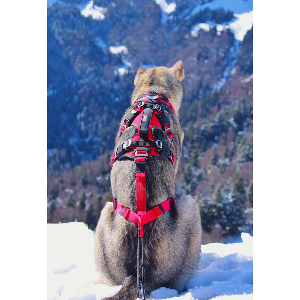 I-dog Confort Trek Hundegeschirr I-dog Confort Trek Hundegeschirr