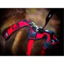 I-dog Confort Trek Hundegeschirr